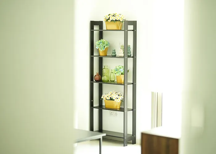 Halcyon Ларнака